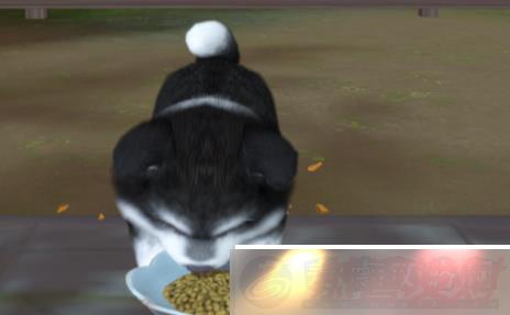 縮ۡô