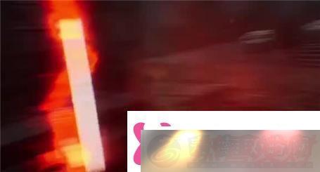 ʦʵüָ