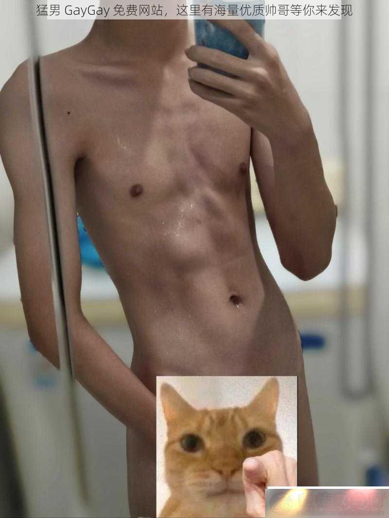 GayGayվк˧