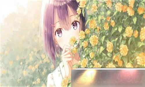 ֵjianyingռĶ̽ɳ뷴˼ọ́