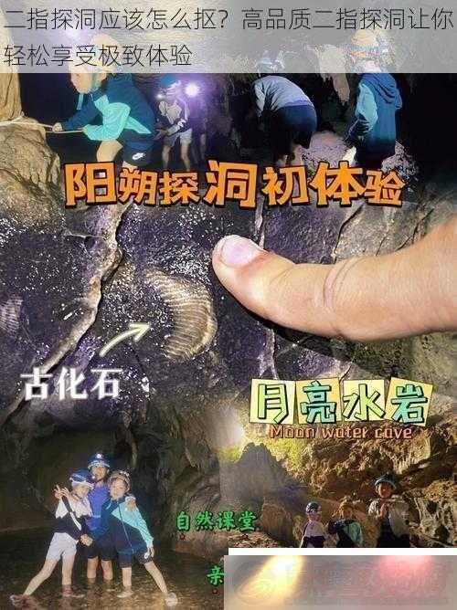 ָ̽ӦôٸƷʶָܼ̽
