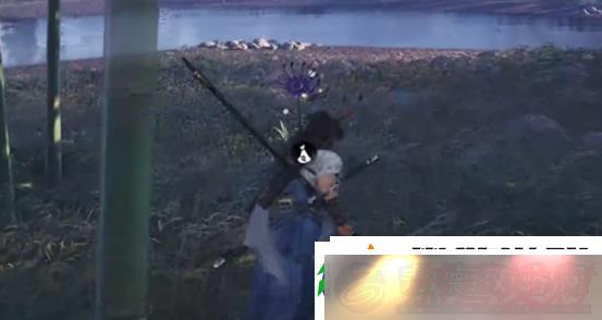 ʮ