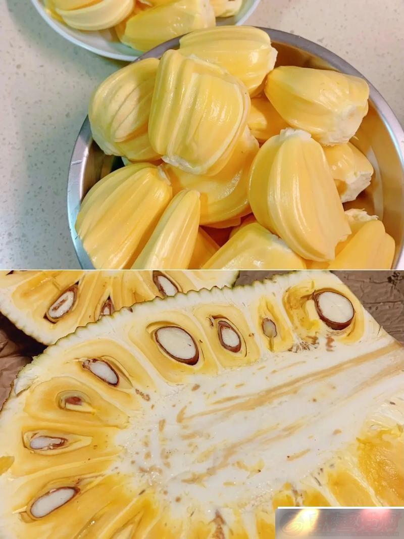 ݴӾʢ磺ܲѹۿ߲