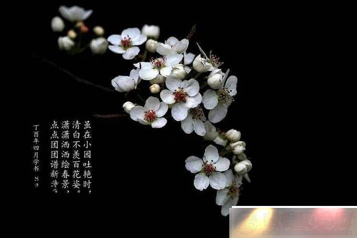 ֻ滨괦n-ѣ-滨