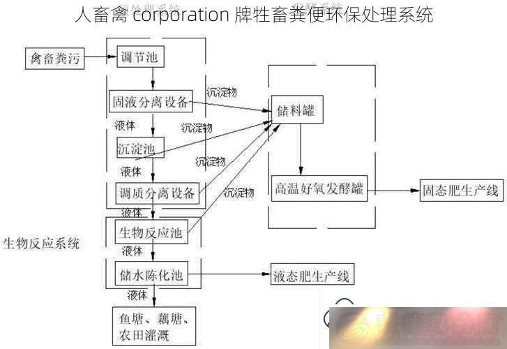 corporation㻷ϵͳ