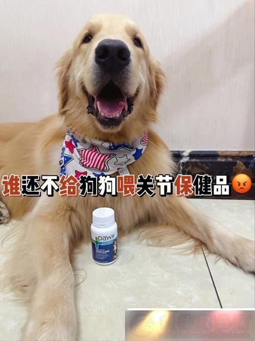 ʷ˽䷽20-ǵ鲻