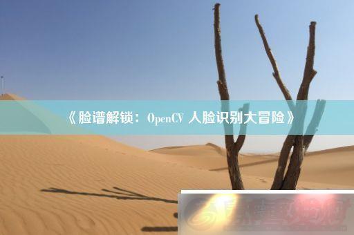 ׽OpenCV-ʶð