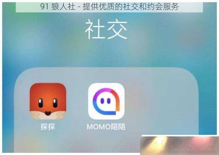 91ṩʵ罻Լ