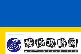 ˫