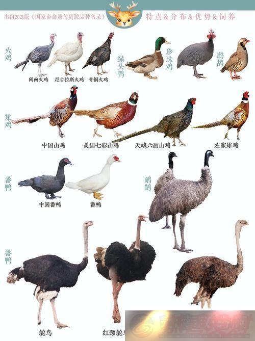 ˹COMPANYLIMITED