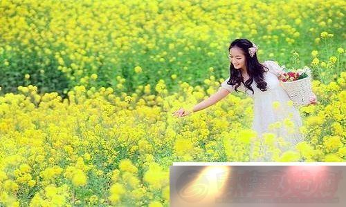 FreeHD183DԭϷ飺ԭӾ-ʽϷ飡