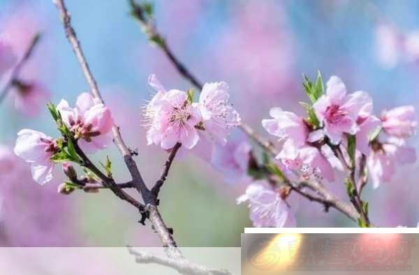 ŵһǴ촽-1.-ŵһ-ỽϢ