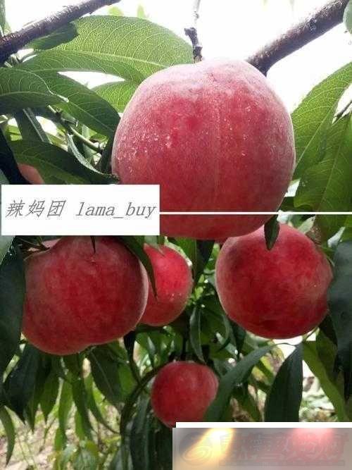 һĻأȷ