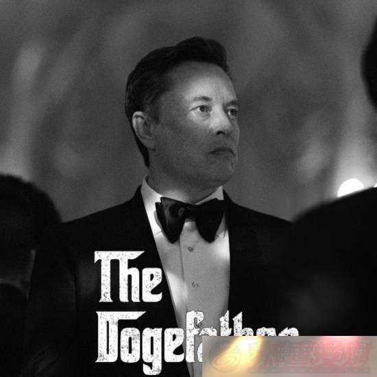 ˹湣̸-ɹͼԼΪDOGE֮