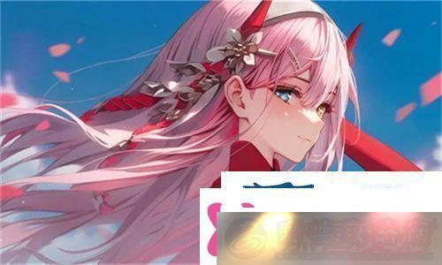 ݻܵһݻ飺̽Ѱױȵ